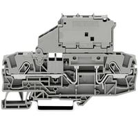 Bloc de jonction à fusibles WAGO 2006-1631 7.50 mm ressort de traction Affectation: L gris 1 pc(s)