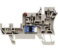 Bloc de jonction pour capteurs-actionneurs Weidmüller ZIA 1.5/3L-1S 1651980000-1 beige foncé