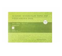 Bloc de papier aquarelle en coton 300 g - 20 feuilles sans acide - Multifonction - Pour croquis et peinture à l'aquarelle - Pour artistes - Papier d'art en coton