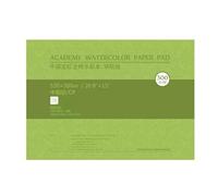 Bloc de papier aquarelle en coton 300 g - 20 feuilles sans acide - Multifonction - Pour croquis et peinture à l'aquarelle - Pour artistes - Papier d'art en coton