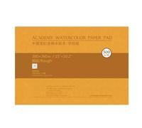 Bloc de papier aquarelle en coton 300 g - 20 feuilles sans acide - Multifonction - Pour croquis et peinture à l'aquarelle - Pour artistes - Papier d'art en coton