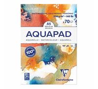 Bloc De Papier Dessin Moyen Fin 70f - A5 14,8x21cm - Goldline Aqua - Clairefontaine