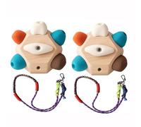 Bloc d'escalade pour grimpeurs développez force et précision Ballon d'entraînement 3D artisanal pour l'escalade Cadeau parfait pour les grimpeurs et adeptes du bloc(2pcs,Lasso + climbing ball)
