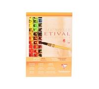 Clairefontaine Bloc encollé Etival 96304C - Papier aquarelle A5 300 g 10 feuilles Grain fin