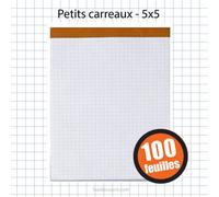 Bloc Notes - A5 - 14,8x21cm - Petits Carreaux - 100 Feuilles - Oxford