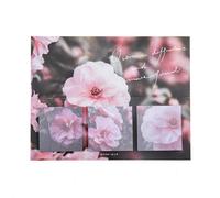 Bloc-Notes Créatif Style Ins, Étiquette Marguerite, Fleurs, Langue Kawaii, Pour Journal Intime, Décoration, Liste De Choses À Faire, Scrapbooking, 60 Pièces