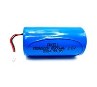 Bloc Pile 1S1P ER26500M Pkcell Lithium 3,6V 6.5Ah