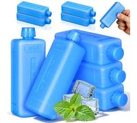 Bloc Réfrigérant pour Glacière 10pcs Pe Bleu pour Air Cooler | Packs de Glace Réutilisables pour Glacière, pour Camping et Réservoir D'eau, Sandales Femme