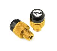 Blocage du trou du miroir arrière Pour SYM CRUISYM GTS 300 300i JOYMAX Z 125 250 Cache-vis Pour Rétroviseurs De Moto En Aluminium CNC