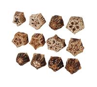 Blocs à Mâcher pour Oiseaux, Noix Séchées Naturelles, Forme D'étoile à Cinq Branches Attrayante pour Perroquets, Tourtereaux, 60 Pièces