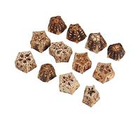 Blocs à Mâcher pour Oiseaux, Noix Séchées Naturelles, Forme D'étoile à Cinq Branches Attrayante pour Perroquets, Tourtereaux, 60 Pièces