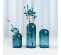 BlogBlog Lot de 3 vases en verre pour fleurs - Petits vases en verre pour décoration, salon, table à manger, fête de mariage, événements, décoration d'intérieur, arrangements floraux (bleu ciel)