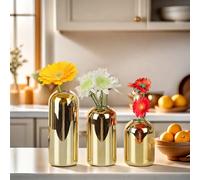 BlogBlog Lot de 3 vases en verre pour fleurs - Petits vases en verre pour décoration, vase à fleurs en vrac pour salon, table à manger, fête de mariage, événements, décoration d'intérieur,