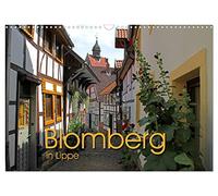 Blomberg in Lippe (Wandkalender 2026 DIN A3 quer), CALVENDO Monatskalender: Die schöne Nelkenstadt