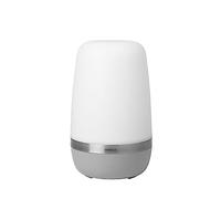 Blomus 66063 Platinum Lampe d'extérieur à LED Gris Taille unique