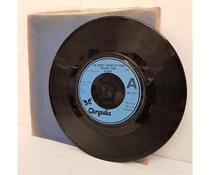 BLONDIE, I'm always touched by your presence dear, B side poets problem + detroit, 7 inch single, misprint