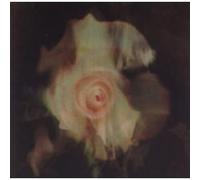 Blood - Blind/Morphine Eurpean Version