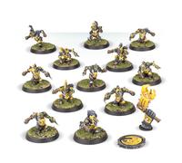 Blood Bowl - Équipe Gobeline : Scarcrag Snivellers