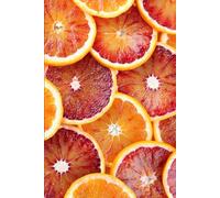 Blood Oranges: 6 x 9 in Perfect Summer Paperback Dotted Journal