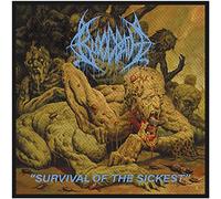 Bloodbath - Écusson SURVIVAL OF THE SICKEST (Taille unique) (Beige/Bleu)