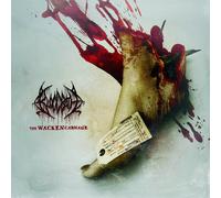 BLOODBATH - THE WACKEN CARNAGE 2 VINYL LP NEUF