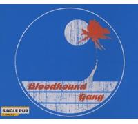 Bloodhound Gang - Screwing You on The Be [Import]