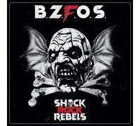Shock Rock Rebels – Bloodsucking Zombies From Outer Space – Vinyle – Broken Silence