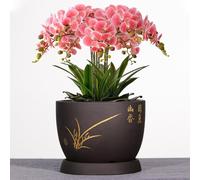 BLOOHK Zisha Pot de Plante en Céramique avec Soucoupe, Jardinière d'Orchidées Argile Violette Style Chinois Vintage, Fleur Zen Calligraphie Feuille d'or for Bonsaï, Plantes Succulentes(21CM)