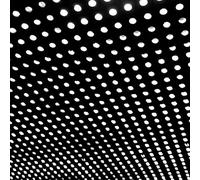 Bloom (LP + MP3)