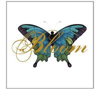 Sarah McLachlan – Bloom (Album de remixes) – Sony