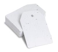 BLOOMING Étiquettes en Papier Ensemencé - Lot de 25 Tags Cadeau à Planter