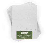 BLOOMING Papier Ensemencé - Lot de 10 feuilles à planter - Format A5 250g/m2-15x21 cm - Blanc Vierge - Graines de fleurs sauvages biodégradables - Cartes, invitations, impressions