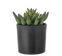 Bloomingville Echeveria Plante Artificielle, Vert, Plastique, P 9 x H 14 cm