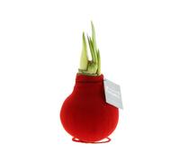 Bloomique - Amaryllis à bulbe en cire - Finition velours rouge - Fleur sans eau - Décoration de Noël - Hauteur à la livraison 15-25 cm - Pousse jusqu’à 40-60 cm - Ø10 cm