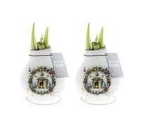 Bloomique - Lot de 2 - Bulbe d'Amaryllis en cire - Cheminée de Noël - Décoration de Noël - Bulbe à fleurs - 15-25 cm de haut à la livraison - Pousse jusqu'à 40-60 cm
