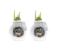 Bloomique - Lot de 2 - Bulbe d'Amaryllis en cire - Maison de Noël - Décoration de Noël - Bulbe à fleurs - 15-25 cm de haut à la livraison - Pousse jusqu'à 40-60 cm