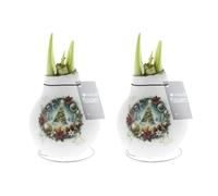 Bloomique - Lot de 2 - Bulbe d'Amaryllis en cire - Sapin de Noël - Décoration de Noël - Bulbe à fleurs - 15-25 cm de haut à la livraison - Pousse jusqu'à 40-60 cm