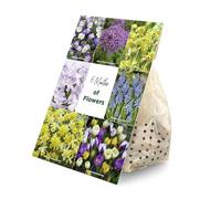 Bloomique - Mélange de 100 Fleurs - 6 Mois - Mélange de Couleurs - Mélange de 7 Variétés - Bulbes à Fleurs - Floraison Printemps - Plantes Vivaces - Pousse de 5 à 90 cm