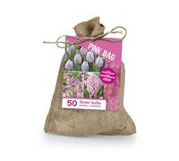 Bloomique - Mix de 50 - Le Sac Rose - Mix Rose - Tulipes, Jacinthes, Allium - Bulbes à fleurs - Floraison printanière - Plantes vivaces