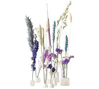 BloomPost Bloom & Clay Blue - Bleu - Fleures séchées avec Argile blanche - Cadeau Unique livré par Boîte aux Lettre - L133