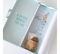 BloomPost Flower Seeds - "Sowing Success" - L024 - Graines de fleurs - Cadeau Unique livré par Boîte aux Lettre - Inspiré par la nature