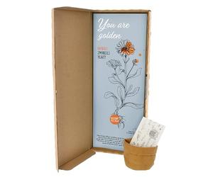 BloomPost "Your are Golden" - Graines de fleurs - Cadeaux pour boîte aux lettres