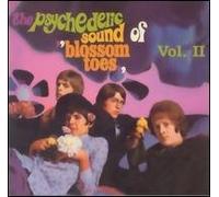 Blossom Toes - If Only for a Moment