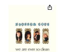 Blossom Toes - We Are Ever So Clean (UK Import)