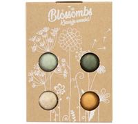 Blossombs Boîte Cadeau Bombes à Graines - Mini