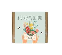 Blossombs Bombes à graines Boîte cadeau moyenne avec 9 bombes à fleurs - Des fleurs pour vous ! - Arbres à semences, fleurs sauvages, mélange de graines de fleurs, cadeau floral pour papillons,