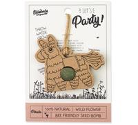 Blossombs Pendentif Bombes à Graines sur Carte Celebrate - 1 pcs