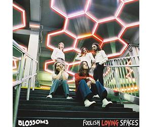 Blossoms - FOOLISH LOVING SPACES (VINYL)