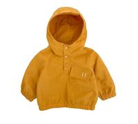 Blouson Enfant Garcon Manches Longues, Manteaux Garçon A Capuche Chaud Veste Fermeture Éclair Blouson Automne Coupe-Vent Hiver Couleur Unie Vêtements D'extérieur Décontracté De 3mois-4 Ans