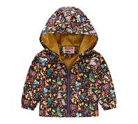 Blouson Garçon Fille Vestes Coupe Vent Garçons Blousons Automne Hiver Enfant Manteaus Capuche Réversible Doublure Polaire Maille pour Randonnée Printemps